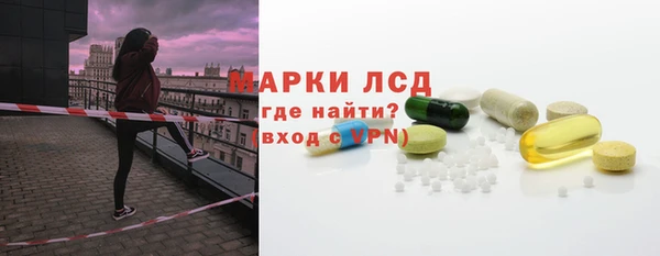ГАЛЛЮЦИНОГЕННЫЕ ГРИБЫ Вязники