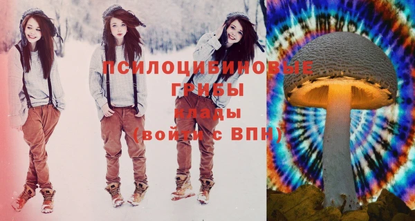 ГАЛЛЮЦИНОГЕННЫЕ ГРИБЫ Вязники