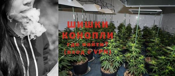 ГАЛЛЮЦИНОГЕННЫЕ ГРИБЫ Вязники