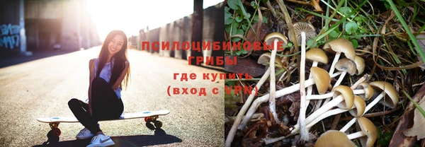 ГАЛЛЮЦИНОГЕННЫЕ ГРИБЫ Вязники